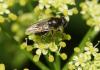 357845 – Photo : Daniel Dufour – France (36)